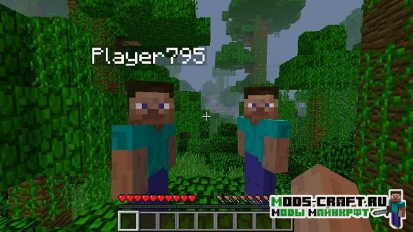 Мод Hide Names для майнкрафт 1.12.2, 1.7.10