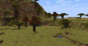 Мод на новые деревья - Premium Wood 1.15.2, 1.14.4