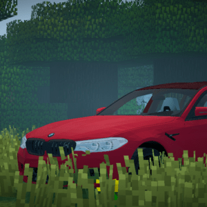 Пак машин BMW - D33 BMW package для Flan's