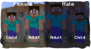 Мод на смену пола - Gender 1.16.5, 1.15.2, 1.14.4, 1.12.2