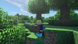 Cборка Майнкрафт 1.12.2 для слабых ПК и выживания Cборка Майнкрафт 1.12.2 для слабых ПК и выживания