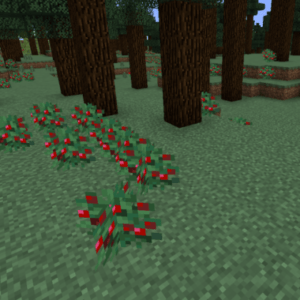 Мод Vanilla+ Biomes для майнкрафт 1.16, 1.15.2