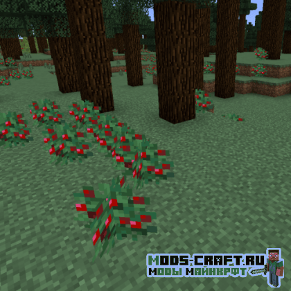 Мод Vanilla+ Biomes для майнкрафт 1.16, 1.15.2 Мод Vanilla+ Biomes для майнкрафт 1.16, 1.15.2