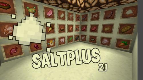 Мод на Соль - SaltPlus для майнкрафт 1.14.4