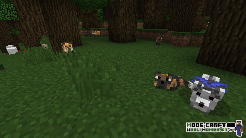 Мод на лис - Outfox для майнкрафт 1.12.2