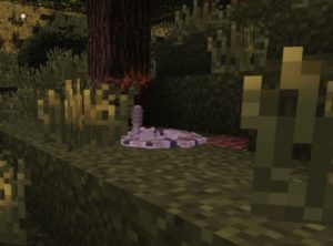 Мод Zoo & Wild Animals minecraft 1.12.2 (новые животные)