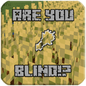 Мод Are You Blind (подсветка предметов) 1.15.2, 1.14.4