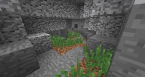 Мод Cave Biomes для майнкрафт 1.16, 1.15.2