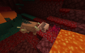 Скачать Майнкрафт 1.16.4 Java Edition Скачать Майнкрафт 1.16.4 Java Edition