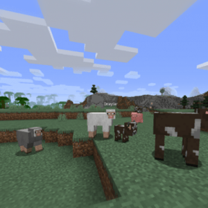 Мод Identity для майнкрафт 1.16.1, 1.15.2