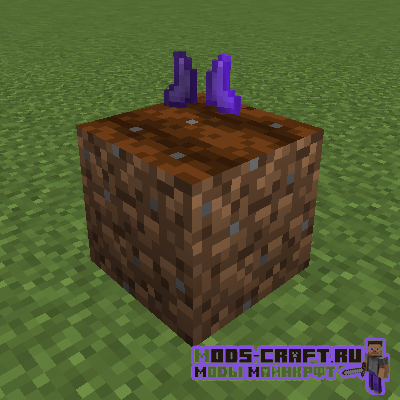 Мод No Trample для майнкрафт 1.16.1, 1.16