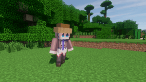 Мод Model Colle для майнкрафт 1.12.2