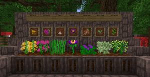 Мод Bewitchment для майнкрафт 1.20.1, 1.19.2, 1.18.2, 1.17.1, 1.16.5, 1.12.2 Мод Bewitchment для майнкрафт 1.20.1, 1.19.2, 1.18.2, 1.17.1, 1.16.5, 1.12.2