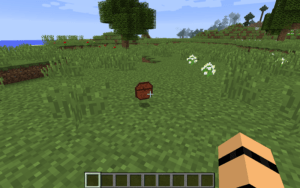 Мод Loot Bag для майнкрафт 1.17.1, 1.16.5, 1.15.2, 1.12.2