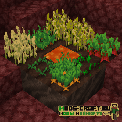 Мод Soul Soil Farmland для майнкрафт 1.16.1