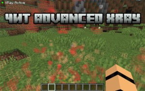 Чит Advanced XRay для майнкрафт 1.16.5, 1.15.2, 1.14.4, 1.12.2, 1.7.10