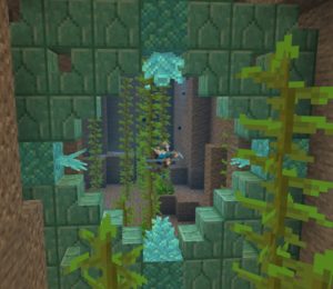 Мод Upgrade Aquatic 1.19.2, 1.18.2, 1.16.5, 1.15.2, 1.14.4 (обновления океана) Мод Upgrade Aquatic 1.19.2, 1.18.2, 1.16.5, 1.15.2, 1.14.4 (обновления океана)