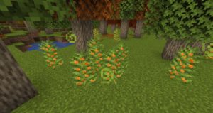 Мод Autumnity для майнкрафт 1.16.5, 1.15.2, 1.14.4 Мод Autumnity для майнкрафт 1.16.5, 1.15.2, 1.14.4