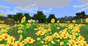 Мод Lush Biomes для майнкрафт 1.16.5, 1.15.2 Мод Lush Biomes для майнкрафт 1.16.5, 1.15.2