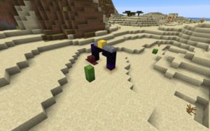 Большая деревня 1.16.x - 1.12.2