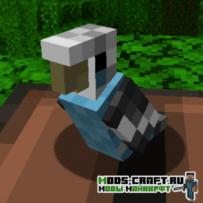 Мод The Parakeet для майнкрафт 1.16.2, 1.16.1
