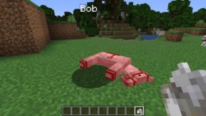 Мод на воскрешение питомца - Save Your Pets для майнкрафт 1.16.3, 1.15.2