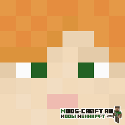 Мод Chat Heads для майнкрафт 1.16.3, 1.16.2, 1.16.1