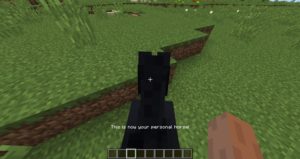 Мод Callable Horses для майнкрафт 1.16.3, 1.12.2
