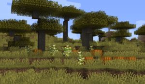 Мод Neapolitan для майнкрафт 1.16.1