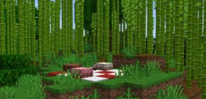 Мод Neapolitan для майнкрафт 1.16.1