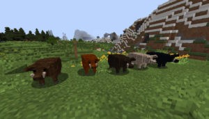 Ресурспак Realistic Animals для майнкрафт 1.16.3