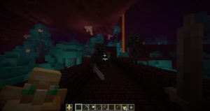 Ресурспак Tahiti 3D [16x] для Майнкрафт 1.16.3