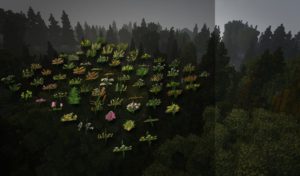 Мод Conquest Reforged 1.19.2, 1.18.2. 1.16.5, 1.12.2