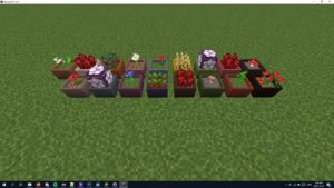 Мод Botany Pots 1.16.5, 1.15.2, 1.14.4 Мод Botany Pots 1.16.5, 1.15.2, 1.14.4