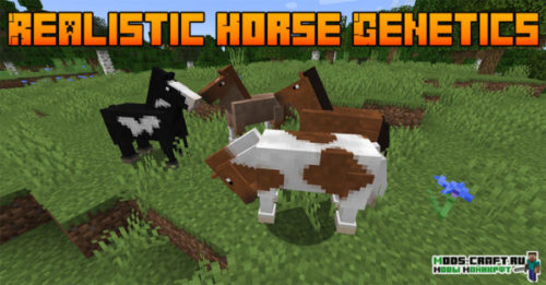 Мод Realistic Horse Genetics 1.16.5, 1.15.2, 1.14.4, 1.12.2
