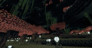 Ванильная сборка VaniLite 1.16.1 (40+ модов) Ванильная сборка VaniLite 1.16.1 (40+ модов)