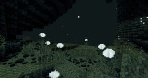 Ванильная сборка VaniLite 1.16.1 (40+ модов) Ванильная сборка VaniLite 1.16.1 (40+ модов)