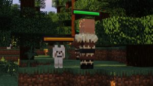 Entity Healthbars [32x] 1.16.4