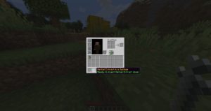 Мод Meds and Herbs 1.15.2 (лекарства и травы)