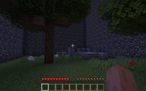 Карта Выживание в коробках для майнкрафт 1.16.4, 1.16.1