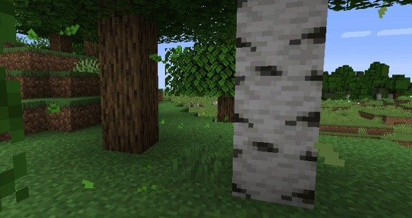 Мод Falling Leaves 1.20.2, 1.19.4, 1.18.2, 1.17.1, 1.16.5, 1.16.4