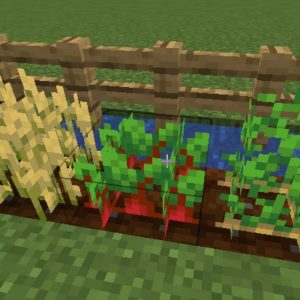 Мод MaxVar Reap для Майнкрафт 1.16.4, 1.15.2