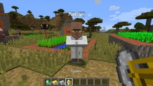 Мод Villager Names для minecraft 1.16.4, 1.15.2, 1.14.4, 1.12.2