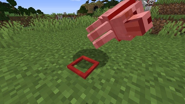 Мод Pet Revival 1.16.4 (возроди питомца)