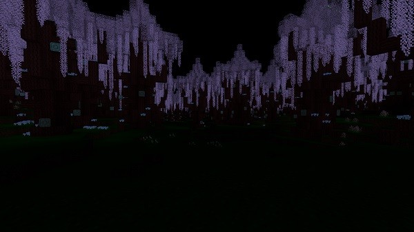 Мод Neverdark 1.16.4, 1.15.2 (измерение темноты)