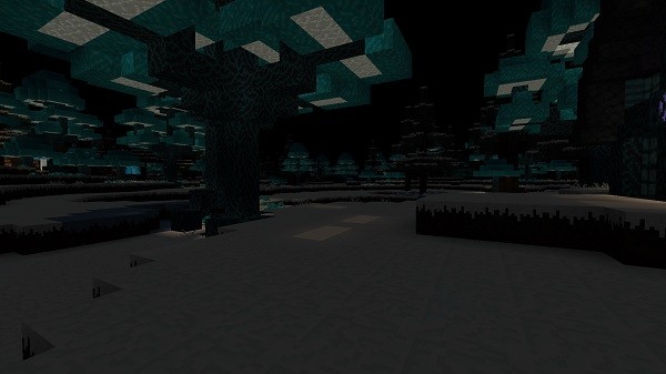 Мод Neverdark 1.16.4, 1.15.2 (измерение темноты)