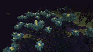 Мод The Outer End 1.16.5 (обновление Края)