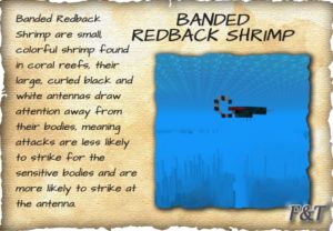 Мод Fins and Tails 1.20.1, 1.19.2, 1.18.2, 1.16.5, 1.16.4 Мод Fins and Tails 1.20.1, 1.19.2, 1.18.2, 1.16.5, 1.16.4