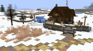 Decorative Winter 1.16.4