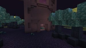 Мод The Outer End 1.16.5 (обновление Края)